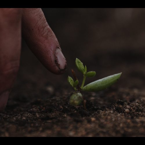 S&H Colour Grading