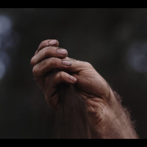 S&H Colour Grading
